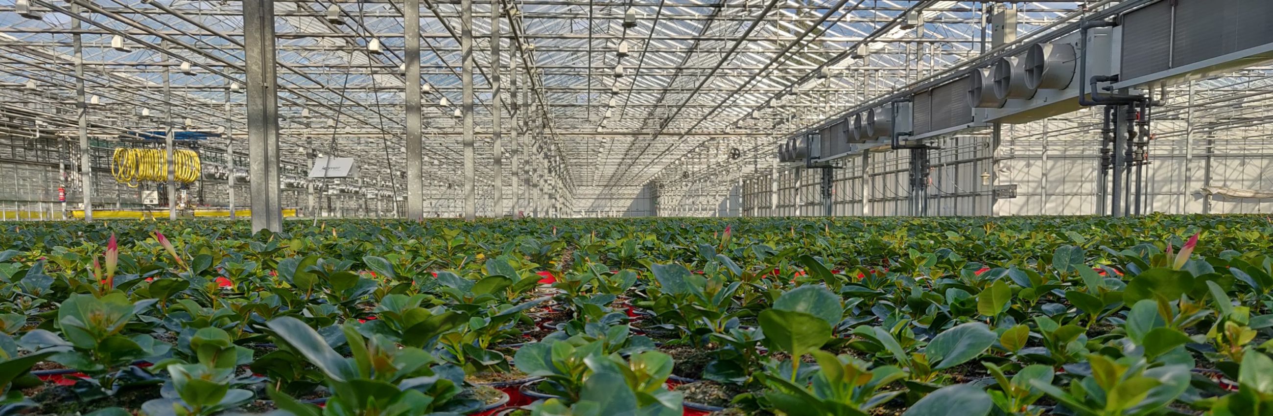 Horizon Plants bedrijfsbezoek